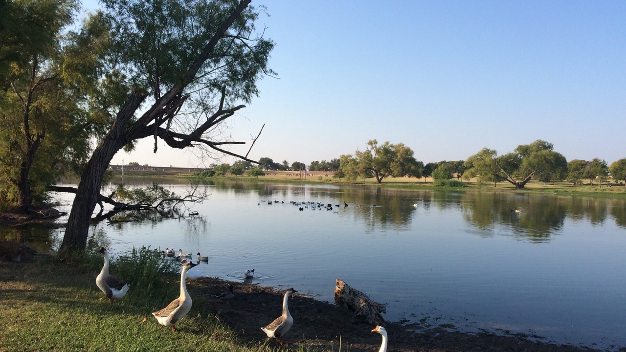 Photo of Others in Round Rock West