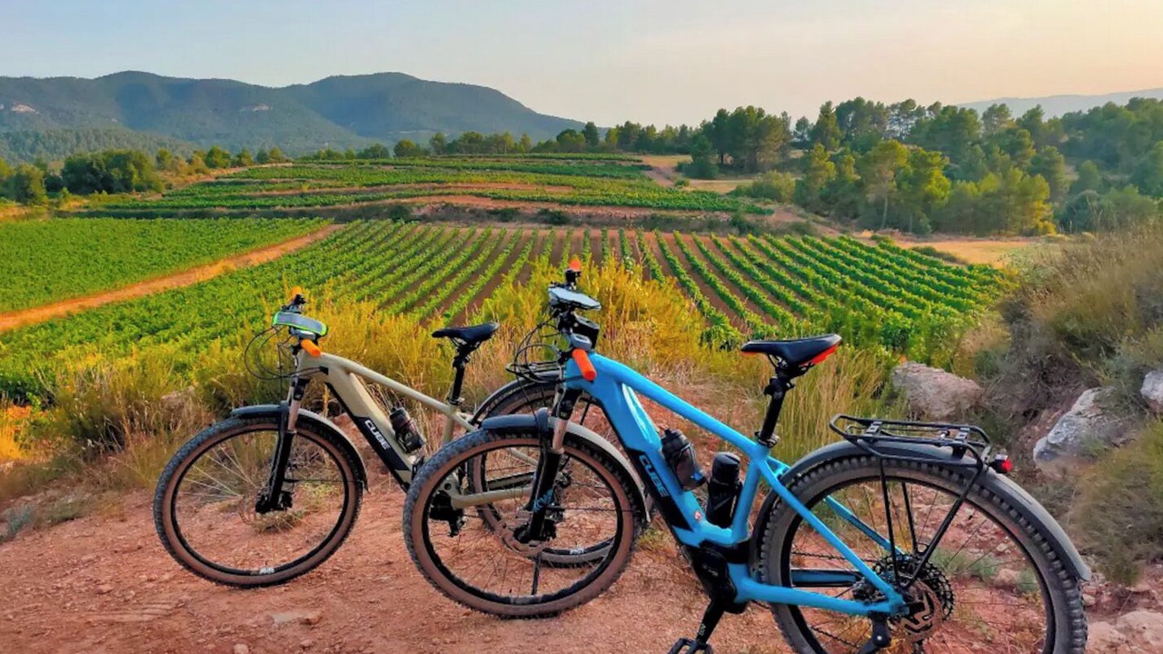 Photo of Outdoor in Barbera de la Conca