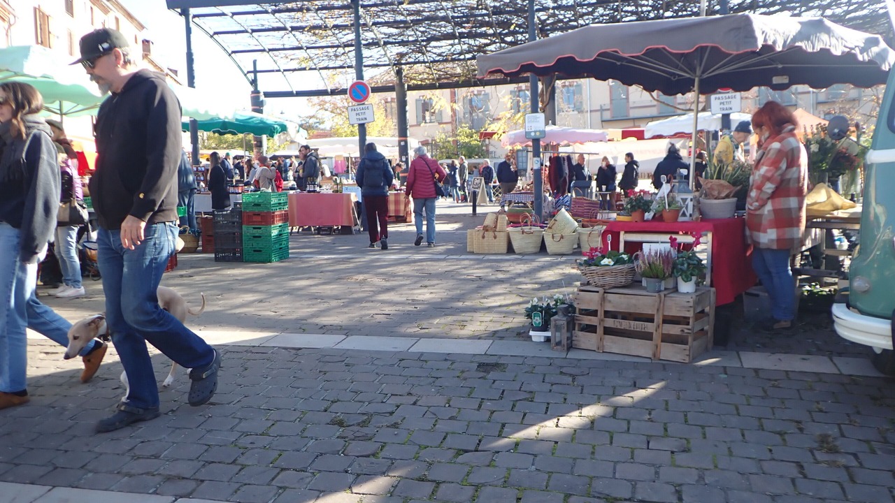Photo of Others in Jouqueviel