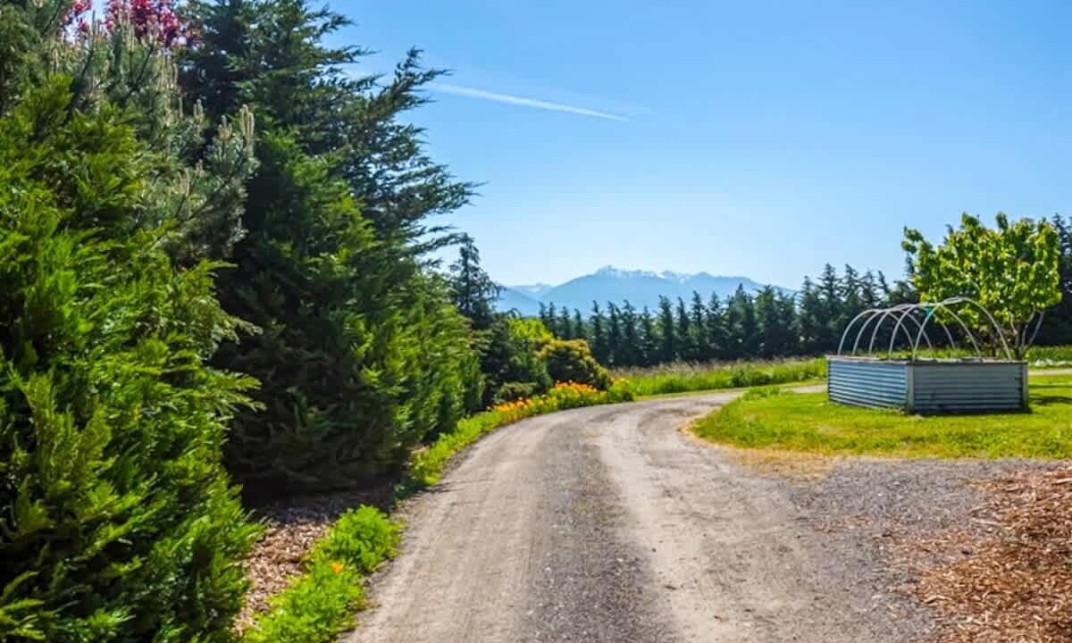 Photo of Others in Sequim