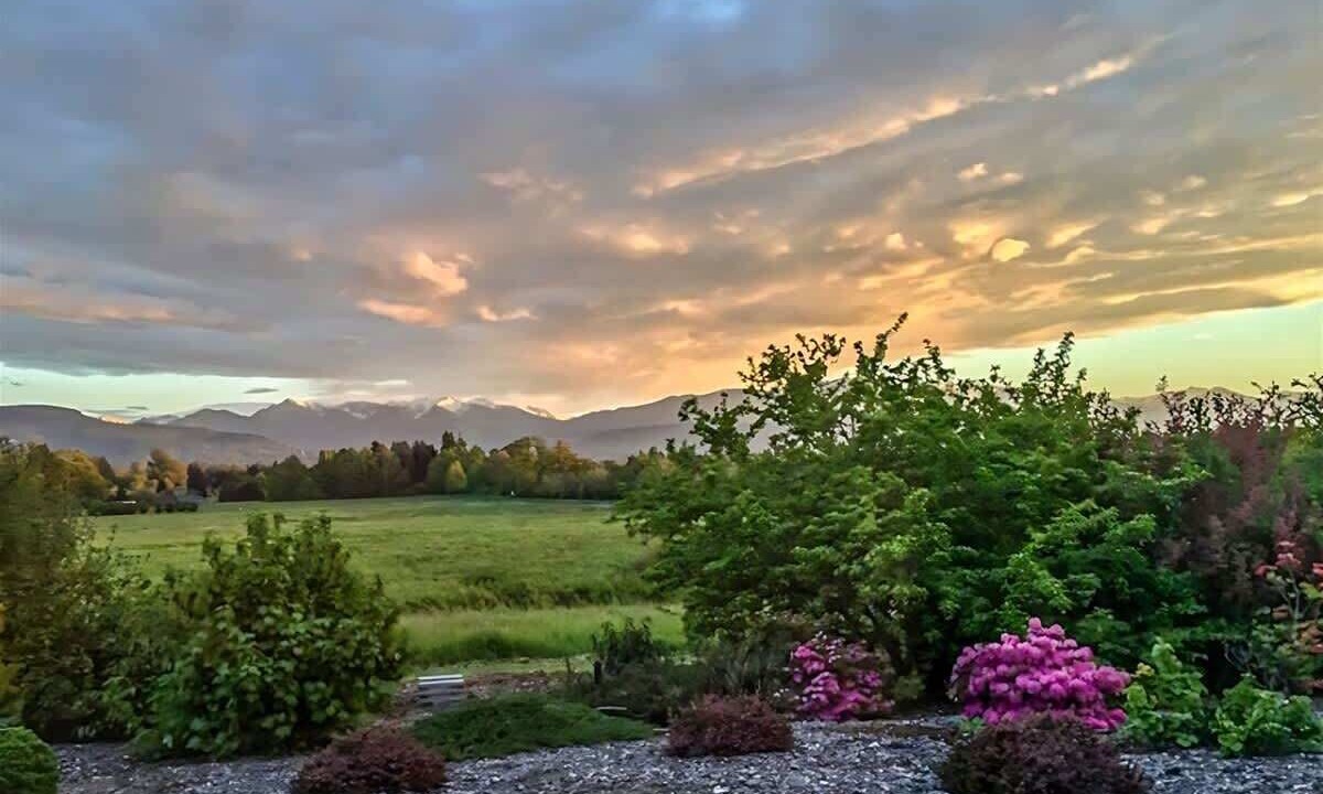 Photo of Others in Sequim