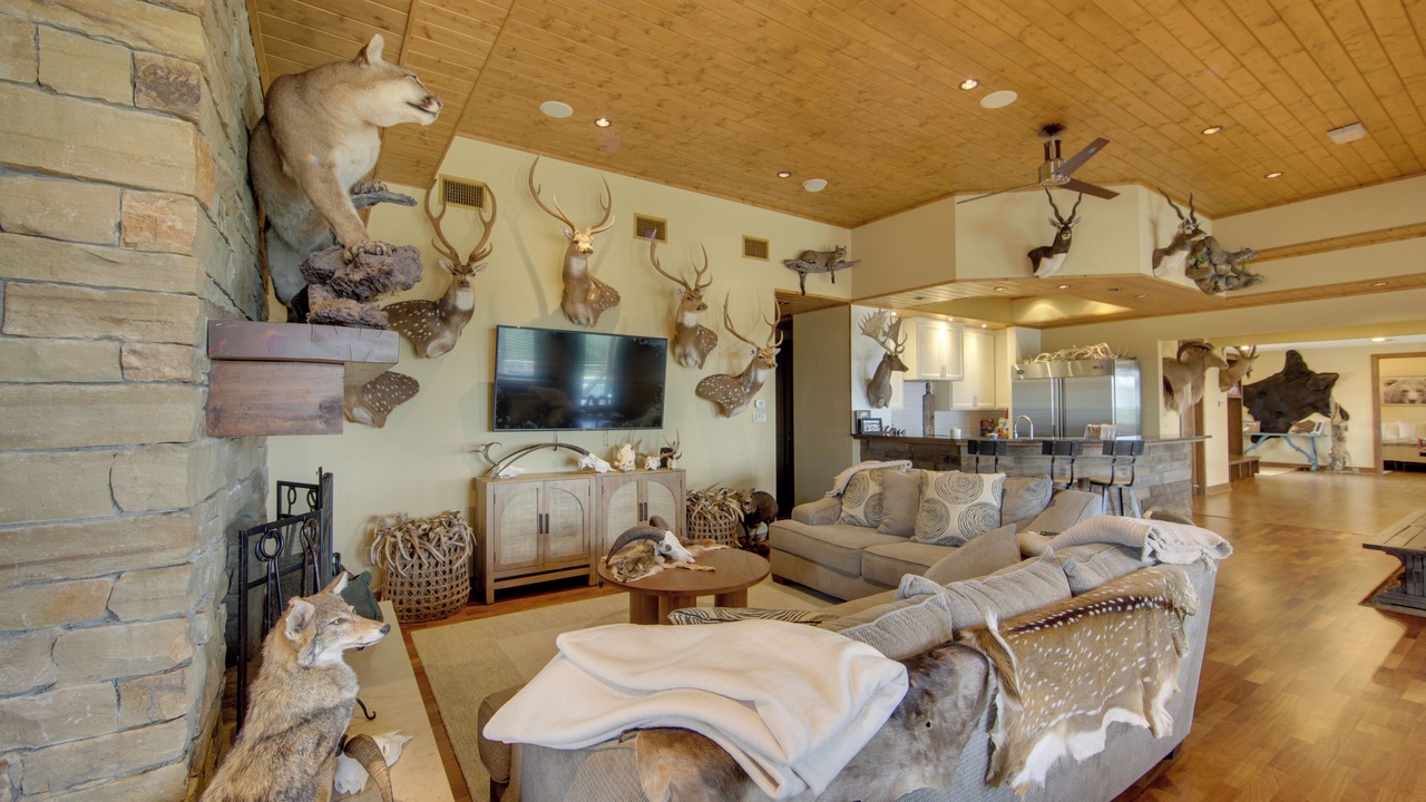 Photo of Livingroom in Palestine