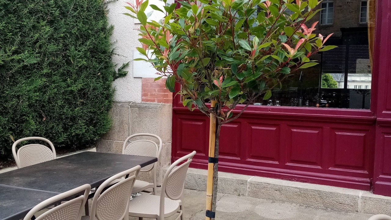 Photo of Patio Balcony in Meymac