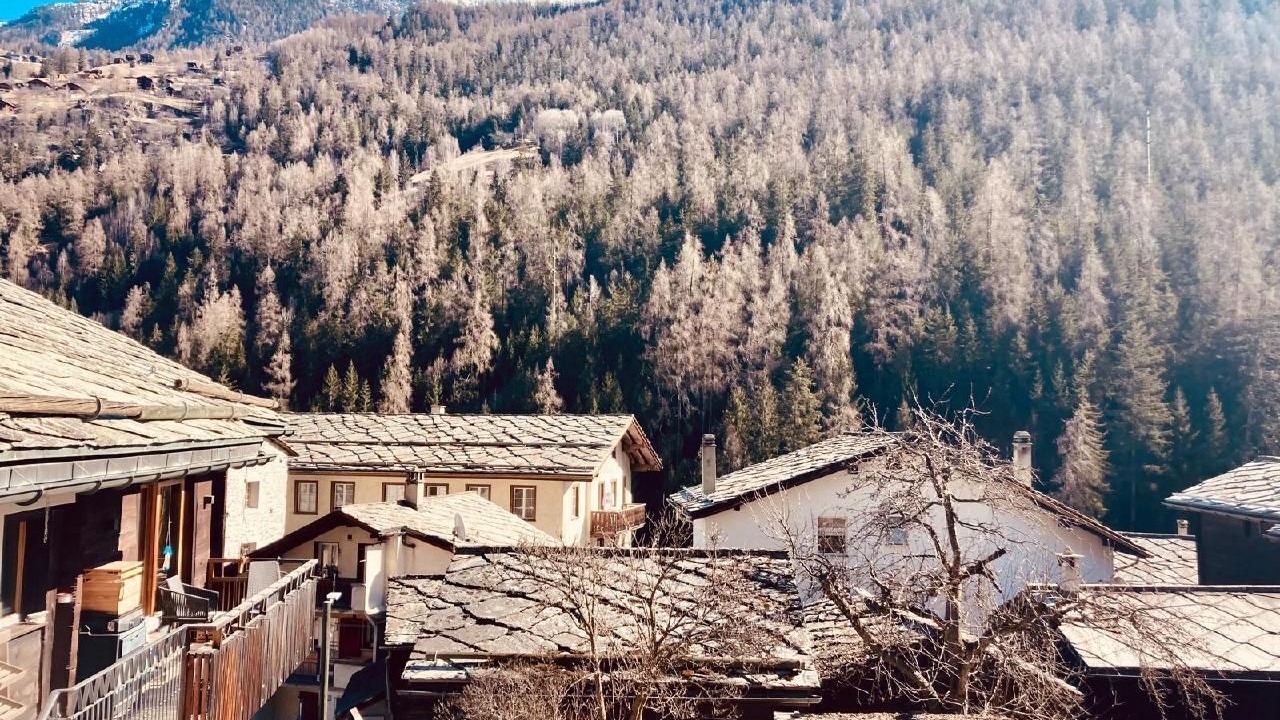Photo of Others in St. Niklaus