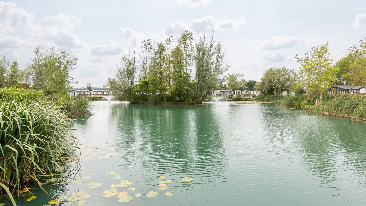 Photo of Others in Malton