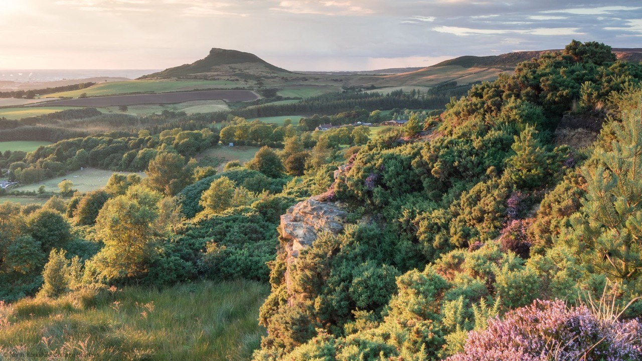 Photo of Outdoor in Malton