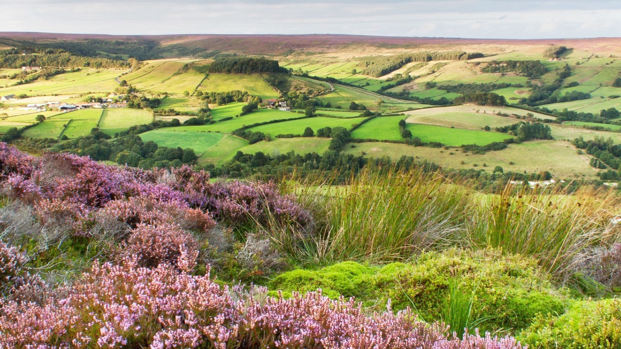 Photo of Outdoor in Malton