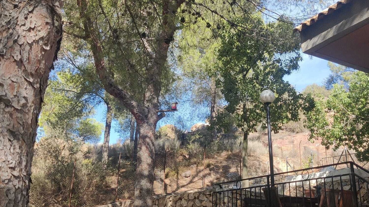 Photo of Outdoor in Algezares