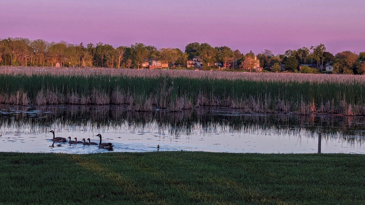 Photo of Outdoor in Salem Lakes