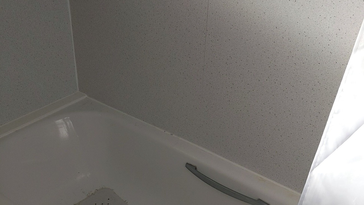 Photo of Others in Girvan