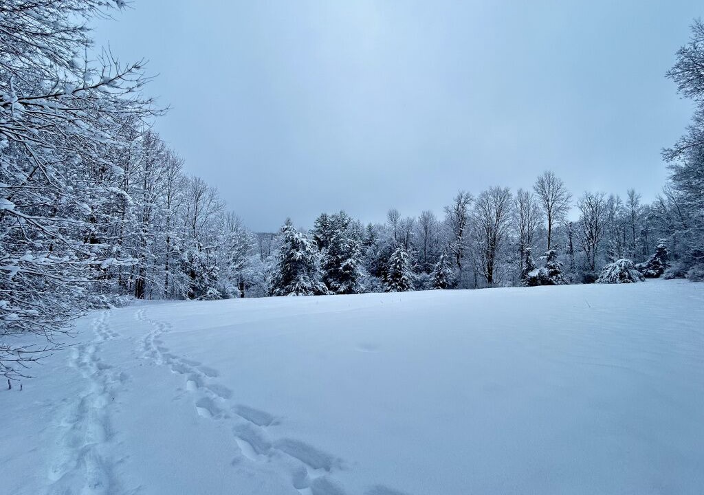 Photo of Others in Monkton