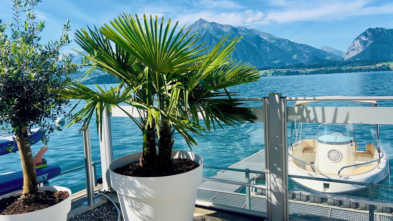 Photo of Outdoor in Oberhofen am Thunersee