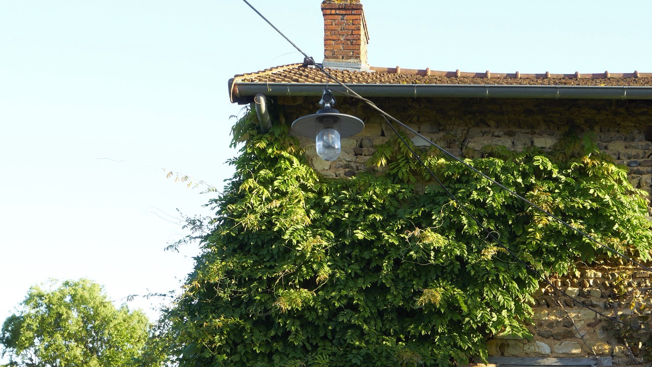 Photo of Outdoor in Iguerande