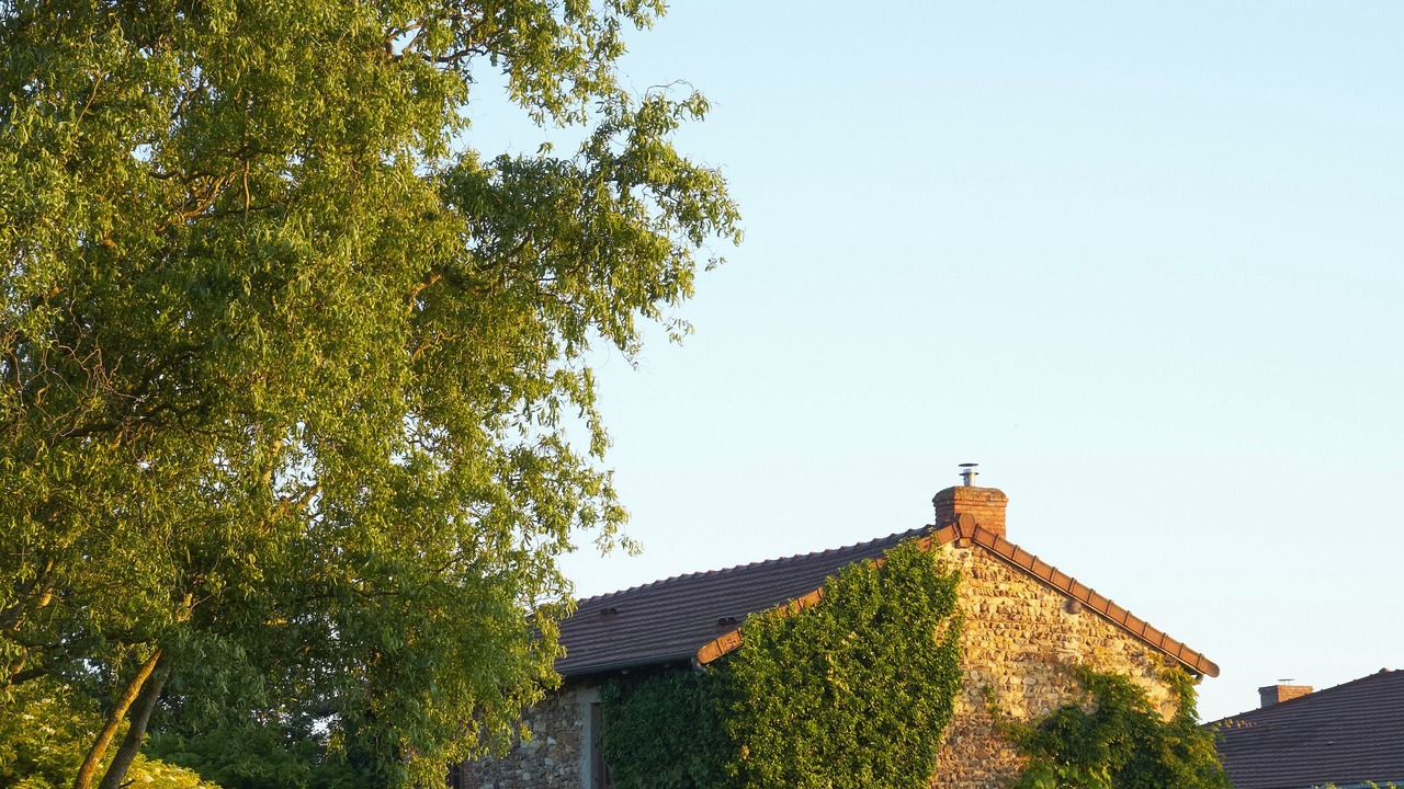 Photo of Outdoor in Iguerande