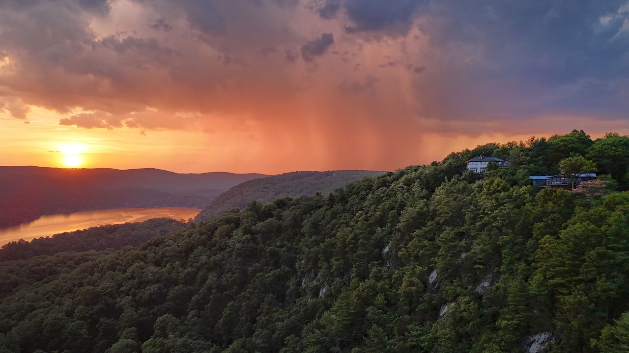 Photo of Others in Sherman