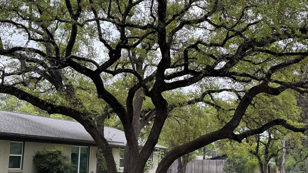 Photo of Outdoor in Austin