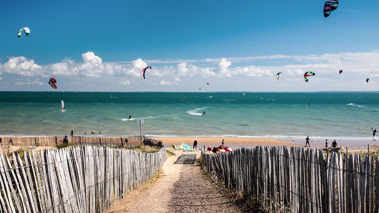 Photo of Others in Sainte-Gemme-la-Plaine