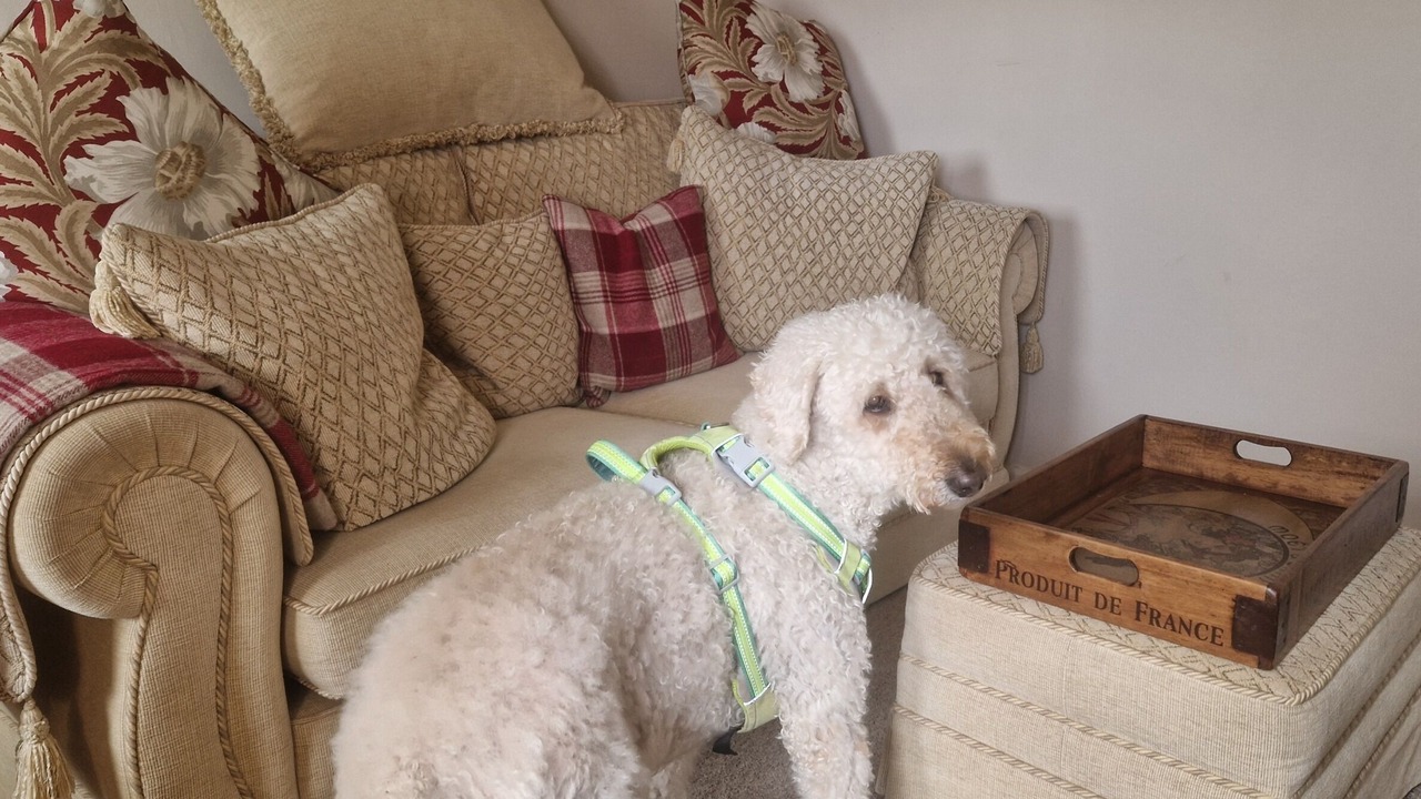 Photo of Others in Malvern