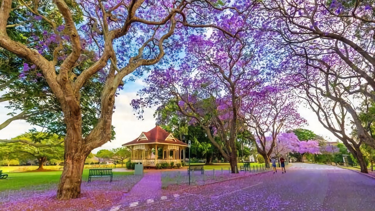 Photo of Outdoor in Bridgeman Downs