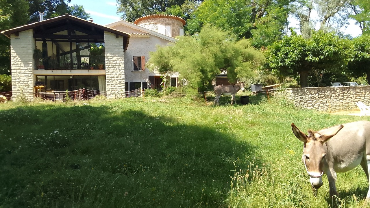 Photo of Outdoor in Dauphin