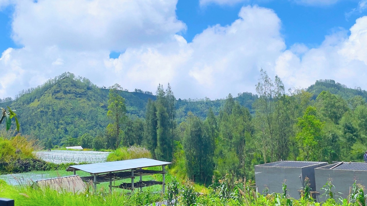 Photo of Outdoor in Toya Bungkah