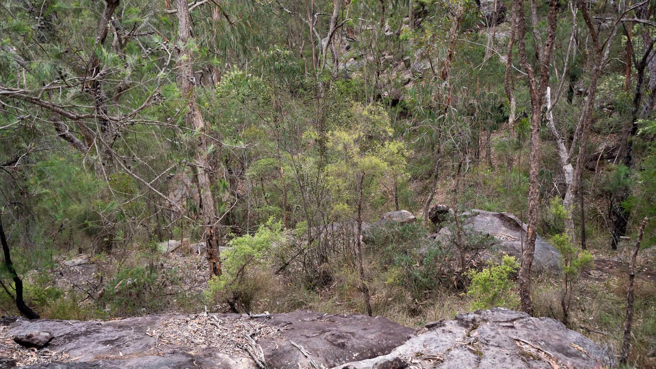 Photo of Others in Cattai