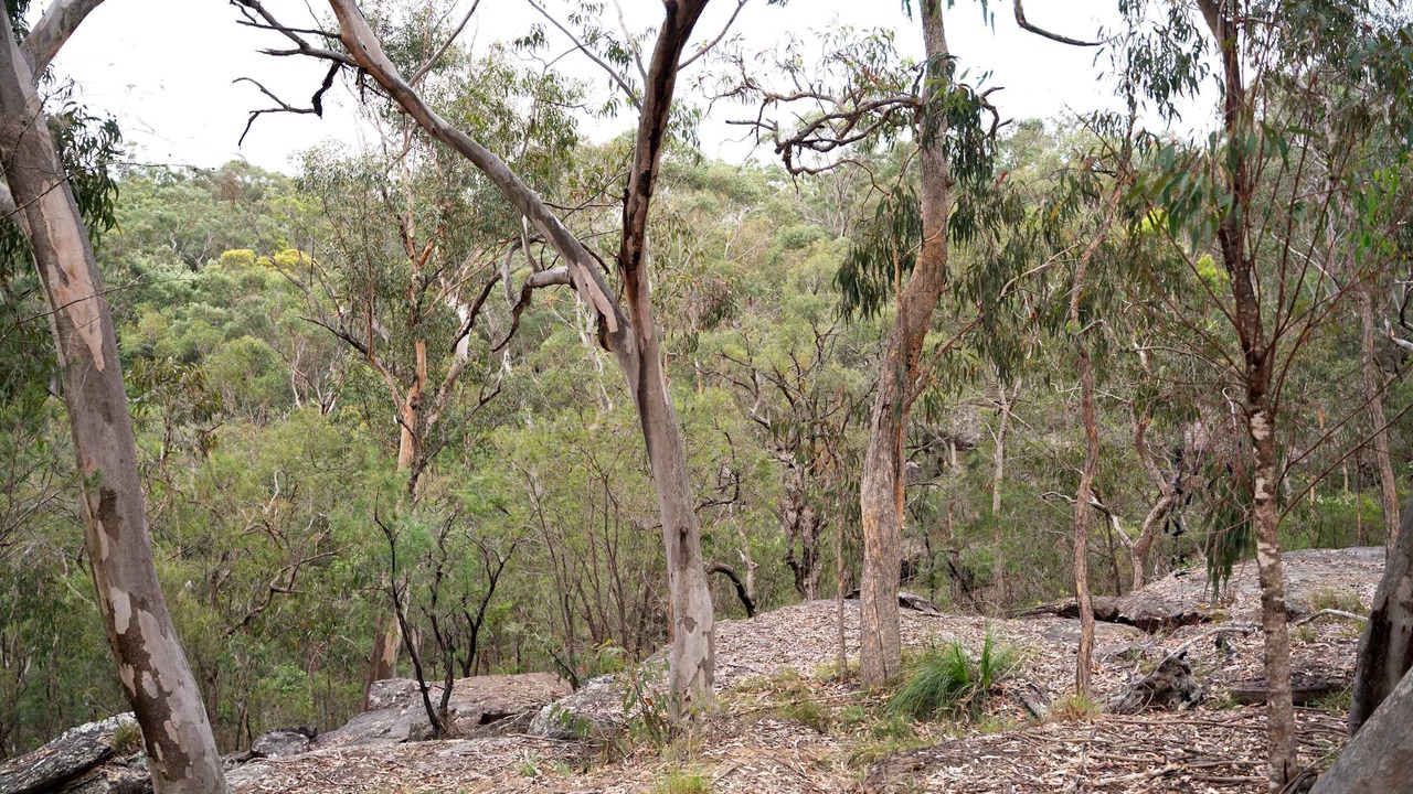 Photo of Others in Cattai