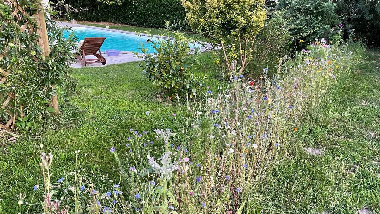 Photo of Outdoor in Lesgor