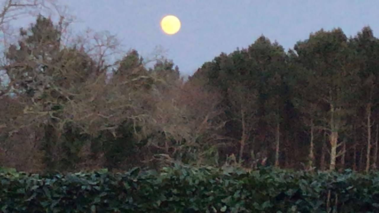 Photo of Outdoor in Lesgor