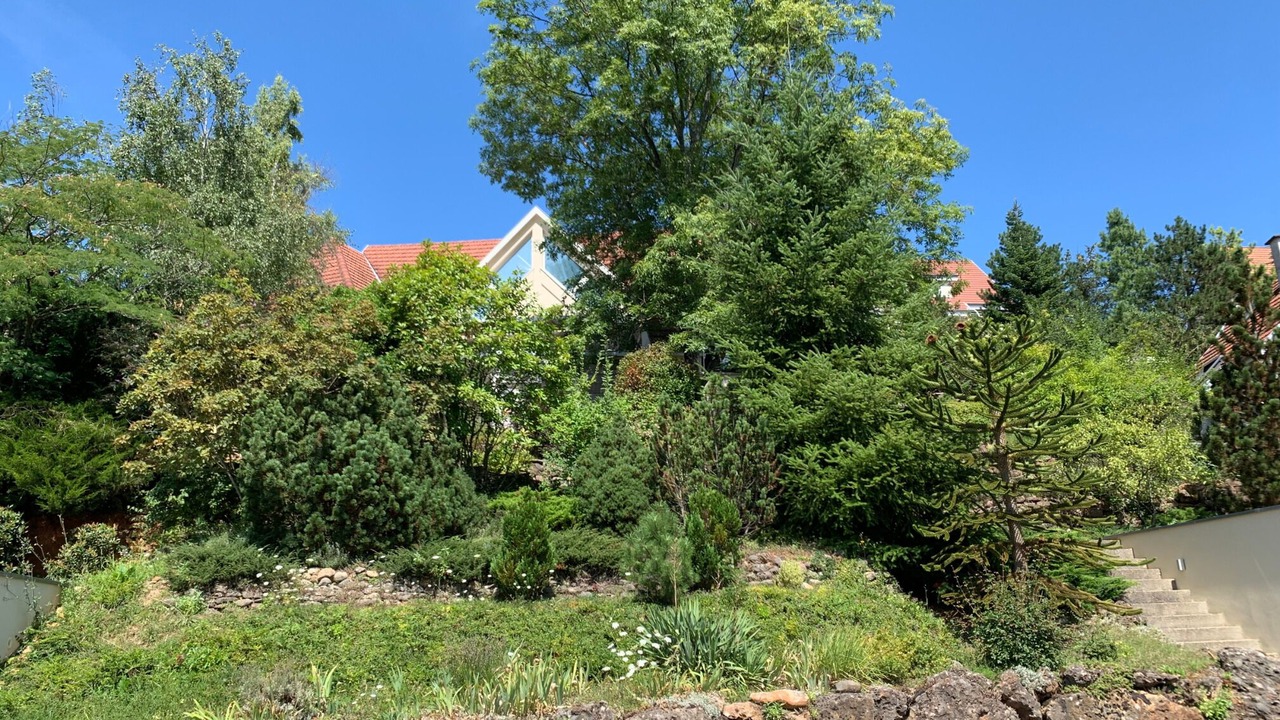 Photo of Outdoor in Barr