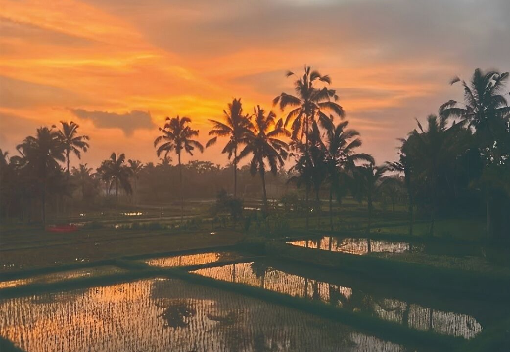 Photo of Patio Balcony in Payangan