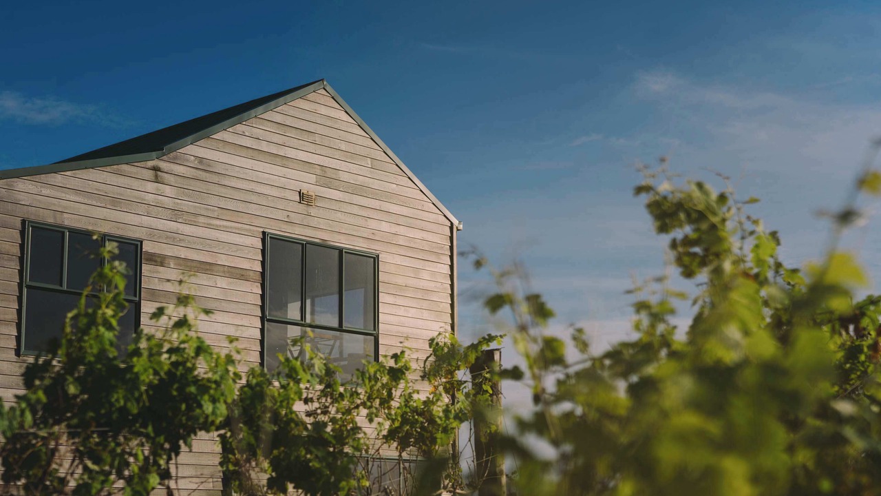 Photo of Outdoor in Tutukaka