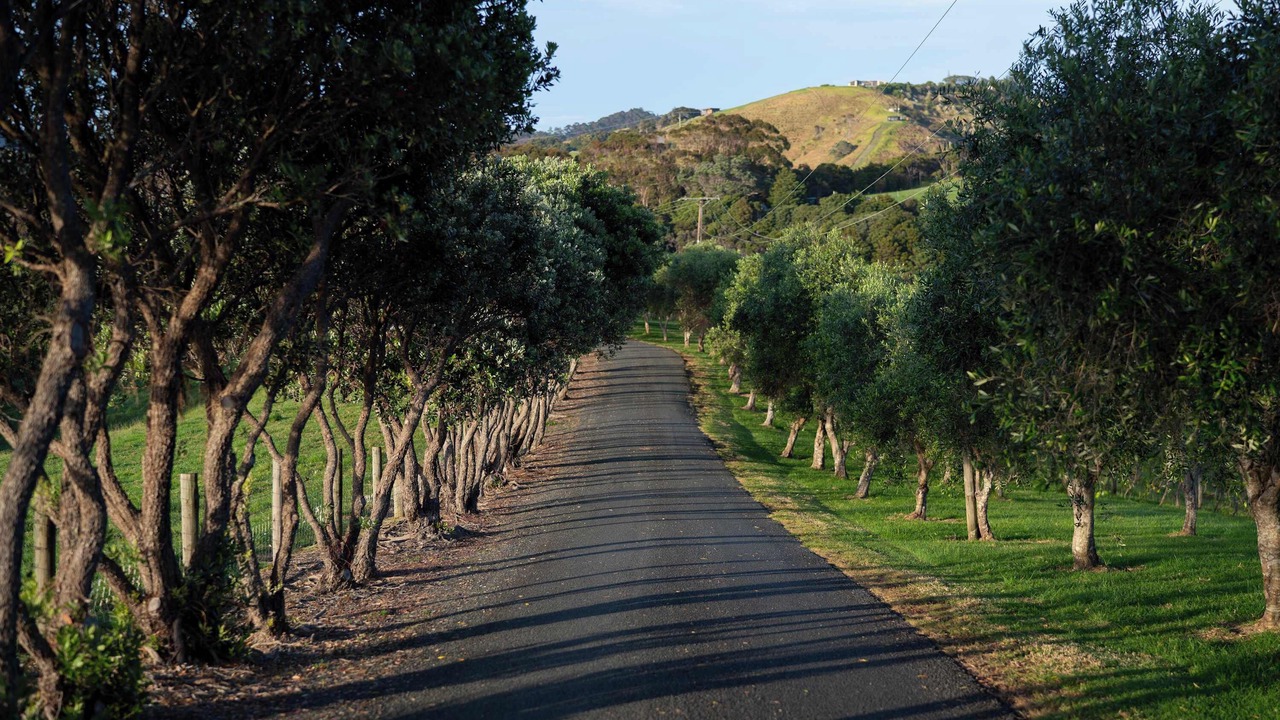 Photo of Others in Tutukaka
