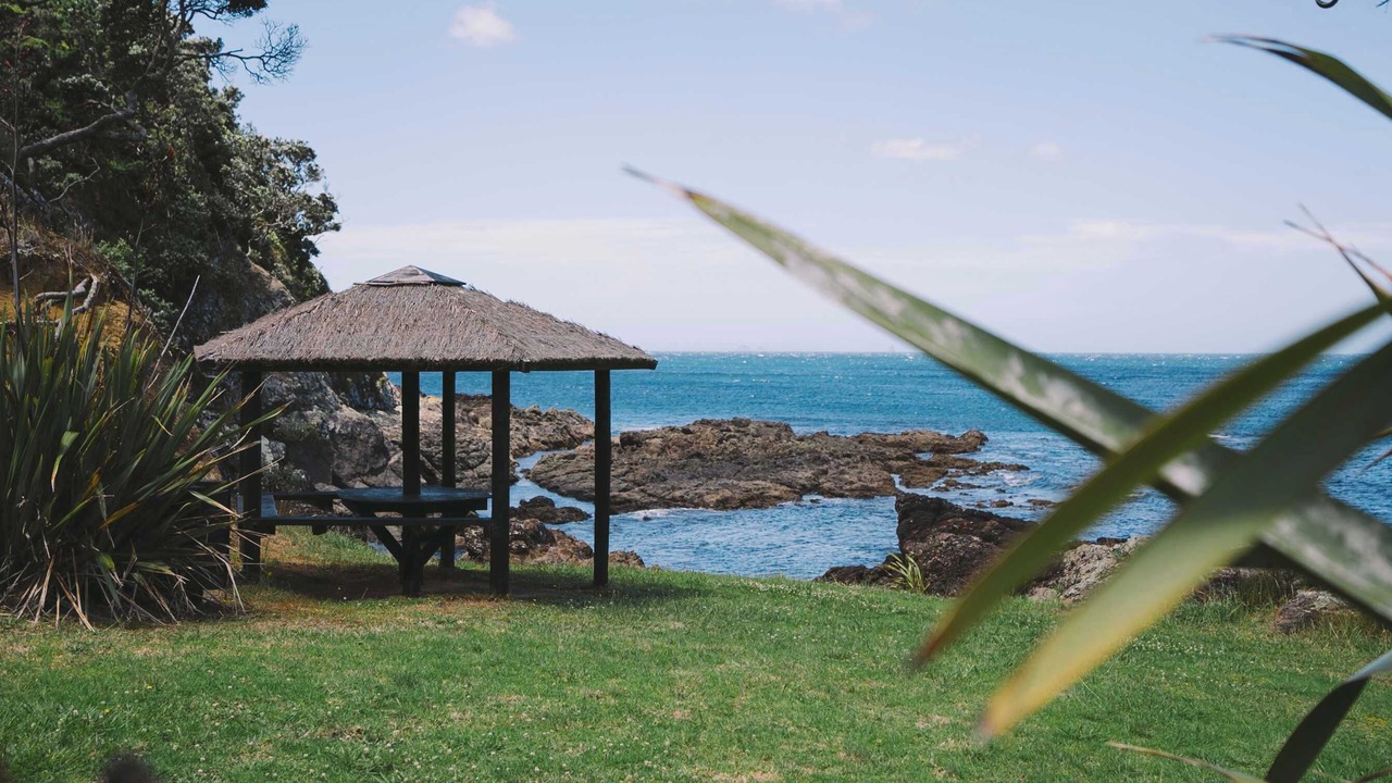 Photo of Outdoor in Tutukaka