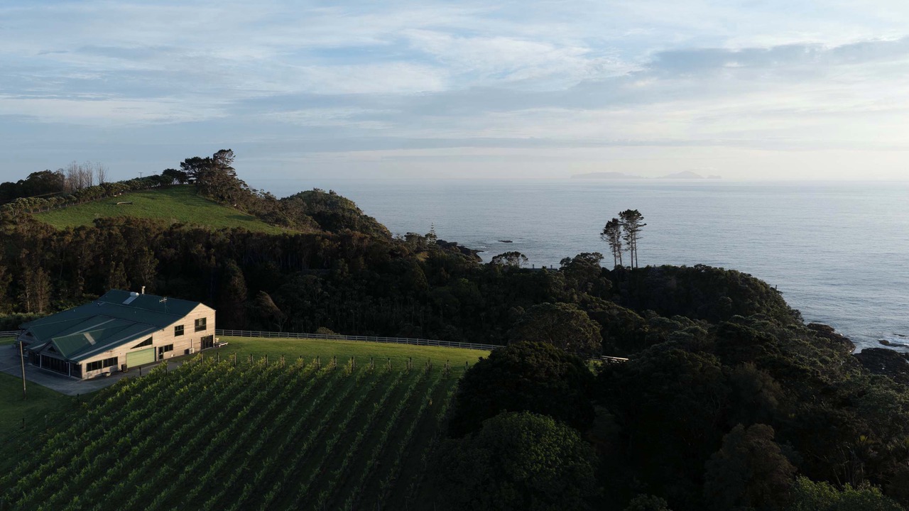 Photo of Outdoor in Tutukaka