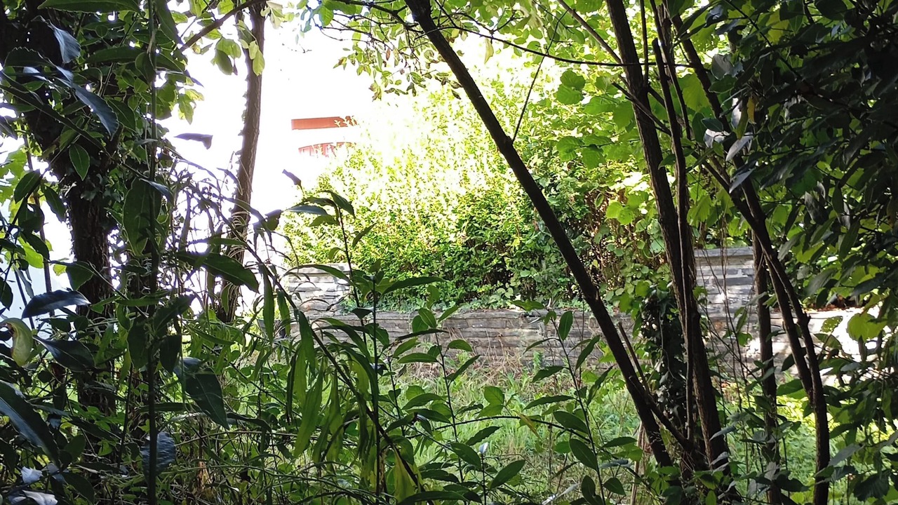 Photo of Outdoor in Renaze