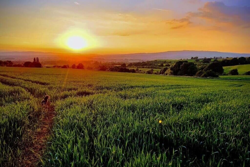 Photo of Others in Tenbury Wells
