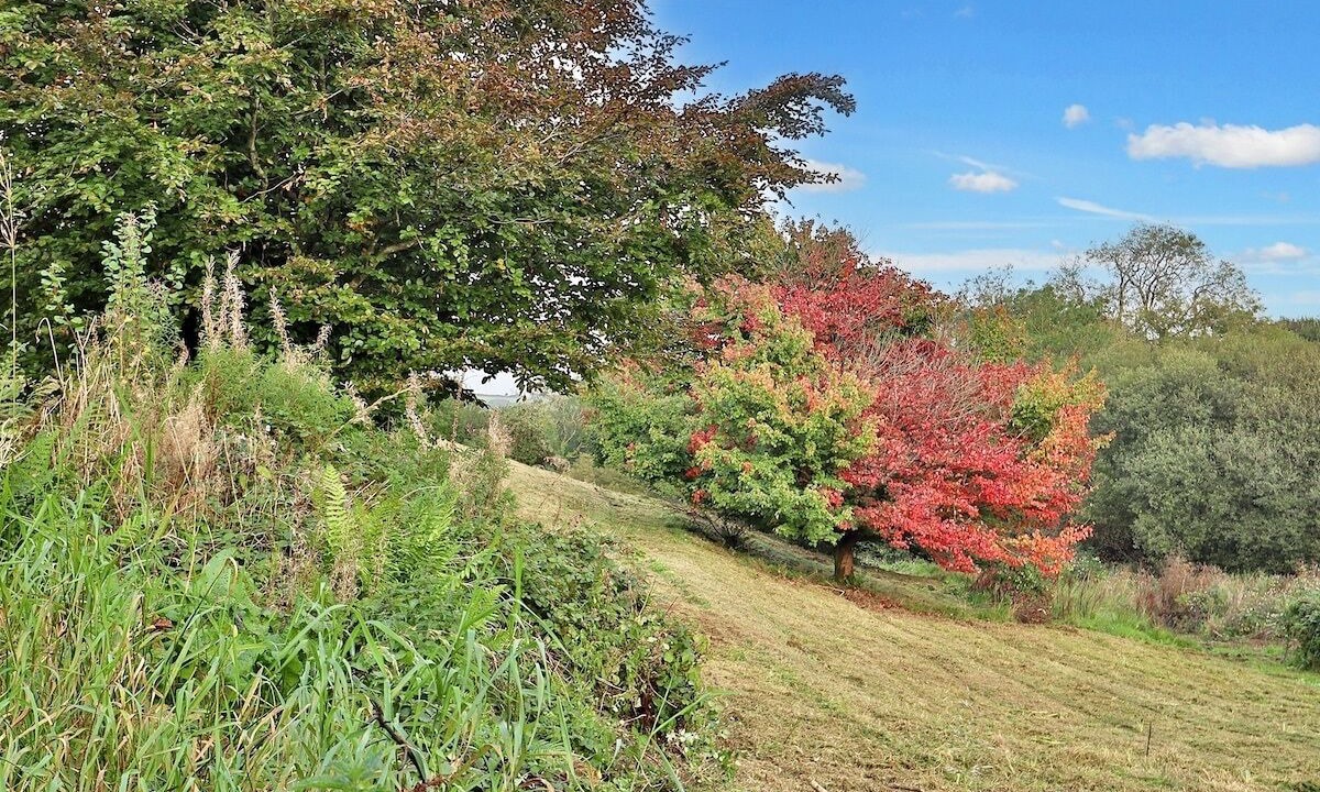 Photo of Others in Berrynarbor