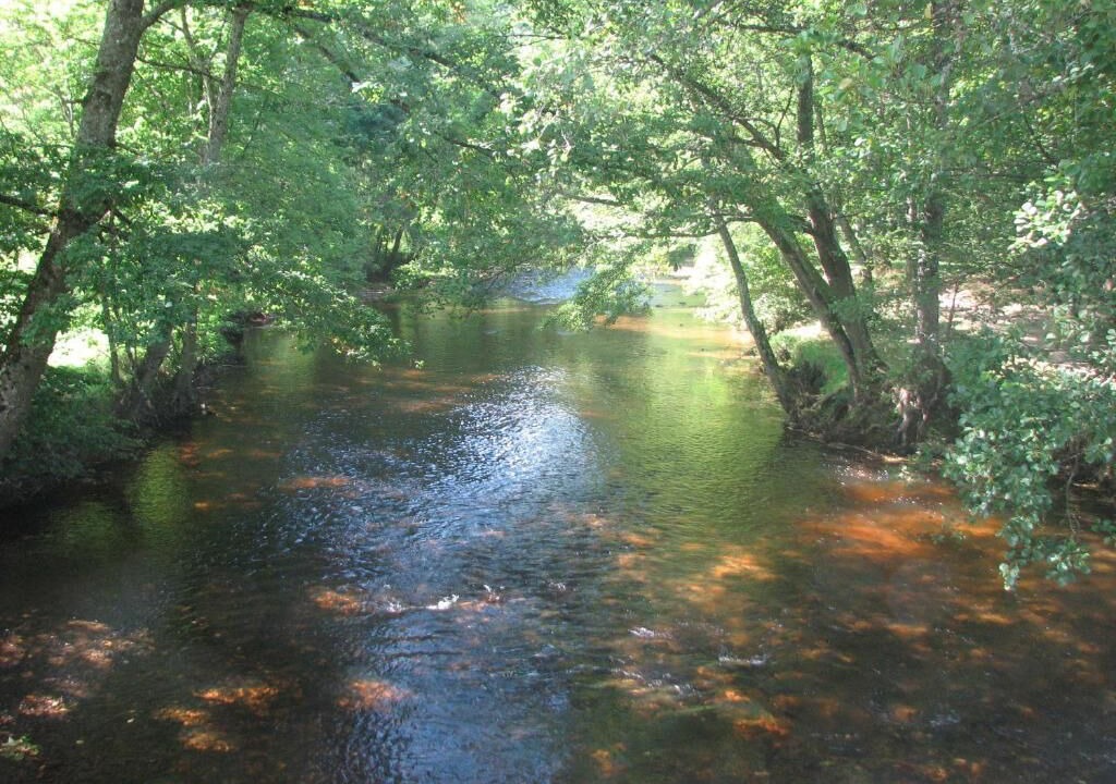 Photo of Others in Ambert