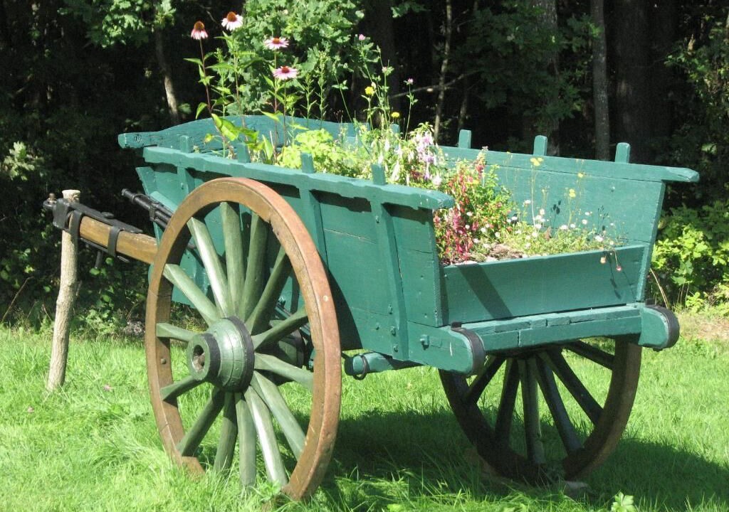 Photo of Outdoor in Ambert