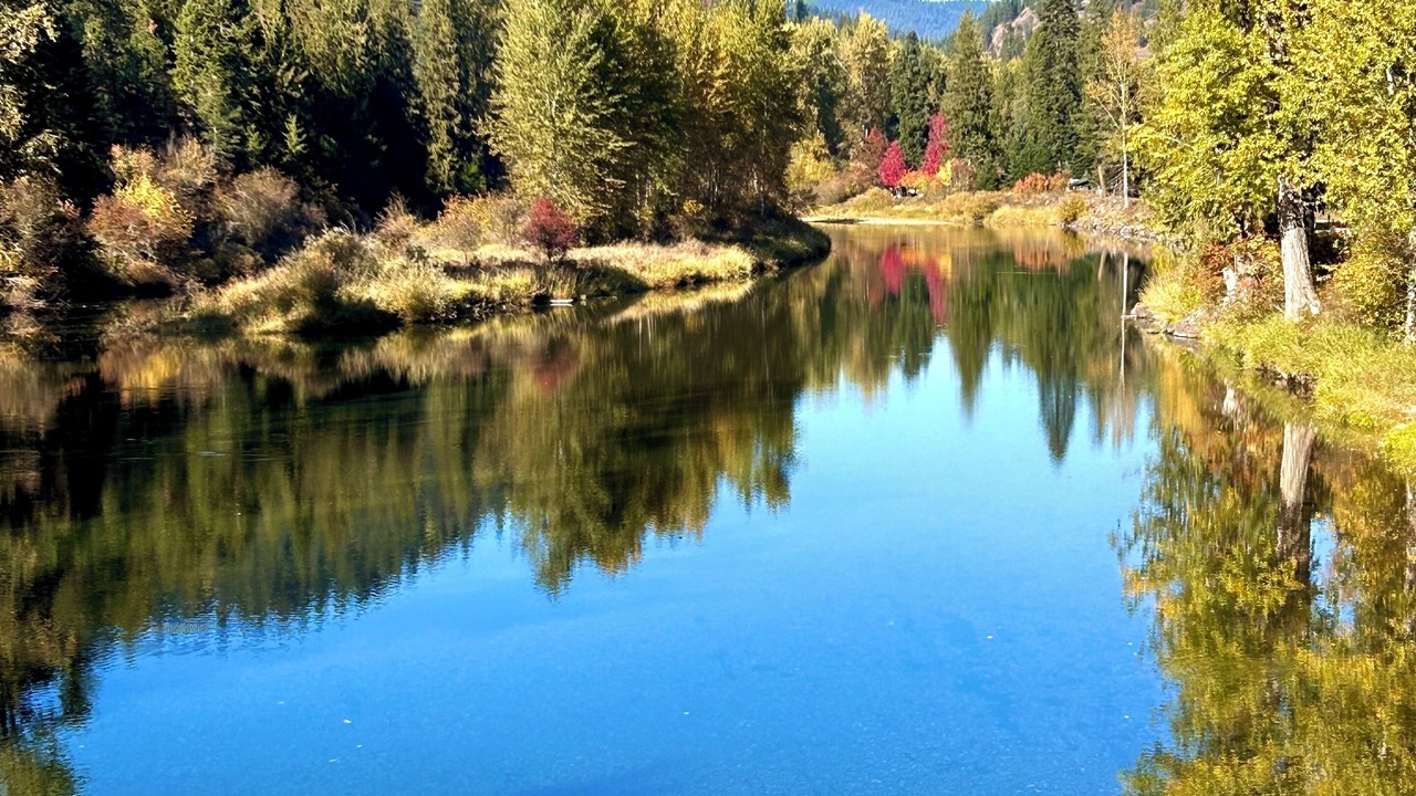 Photo of Others in Kingston