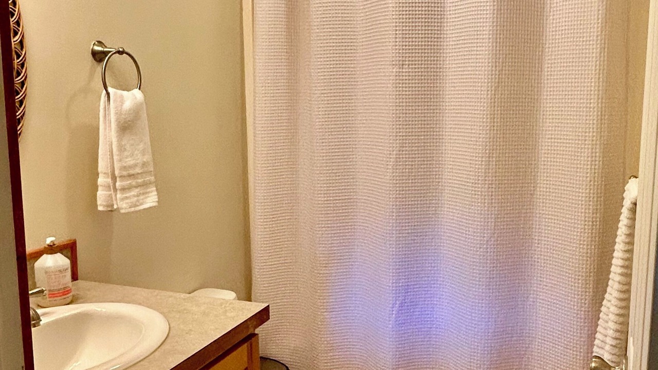 Photo of Others in Kingston