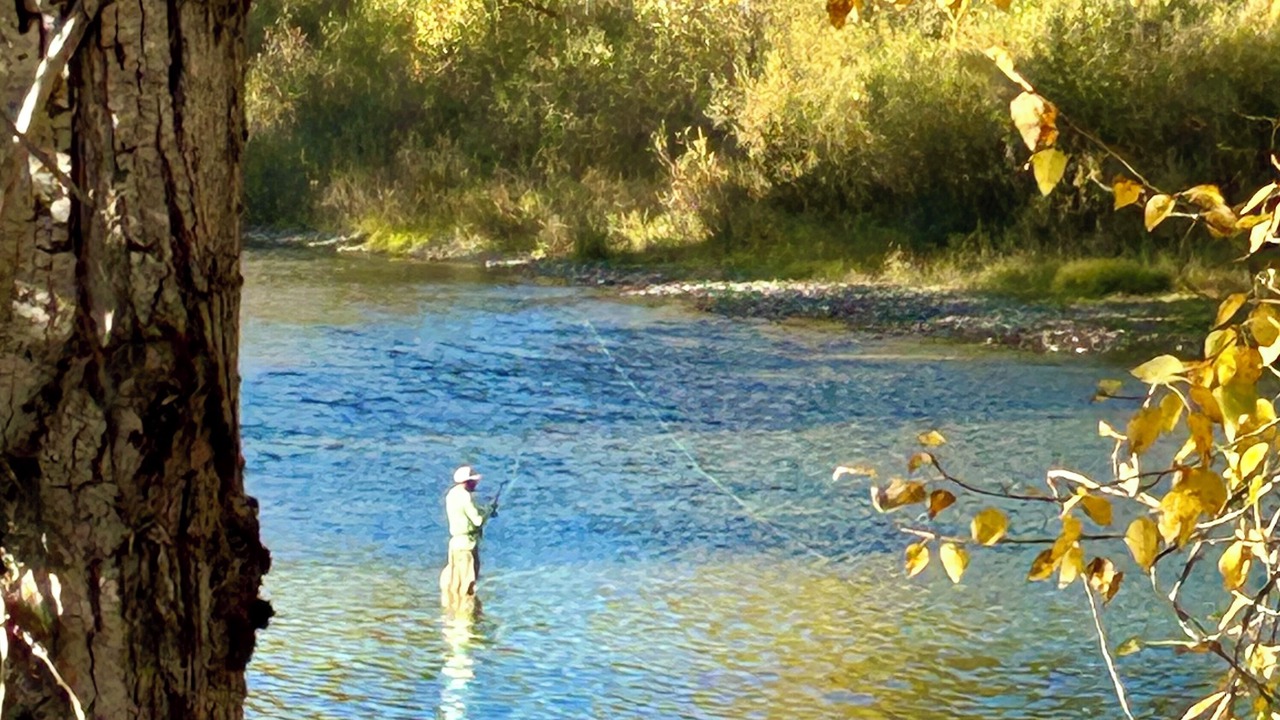 Photo of Others in Kingston