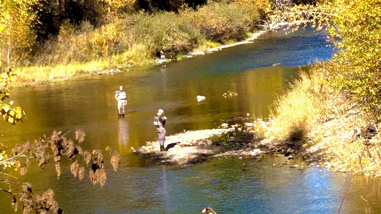 Photo of Others in Kingston