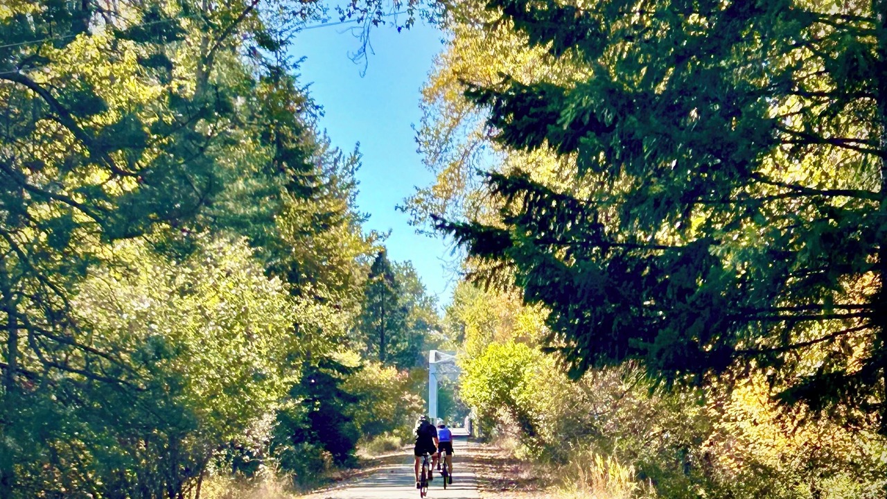 Photo of Others in Kingston