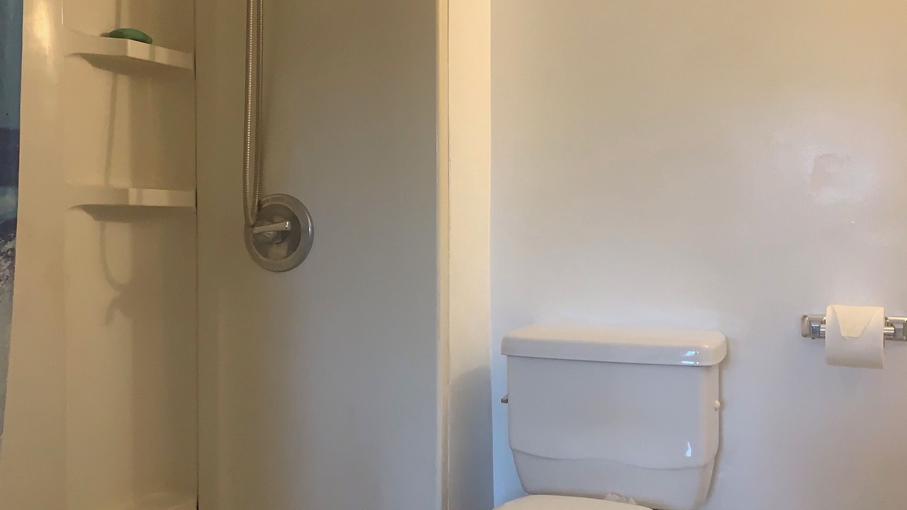 Photo of Others in Cheshire