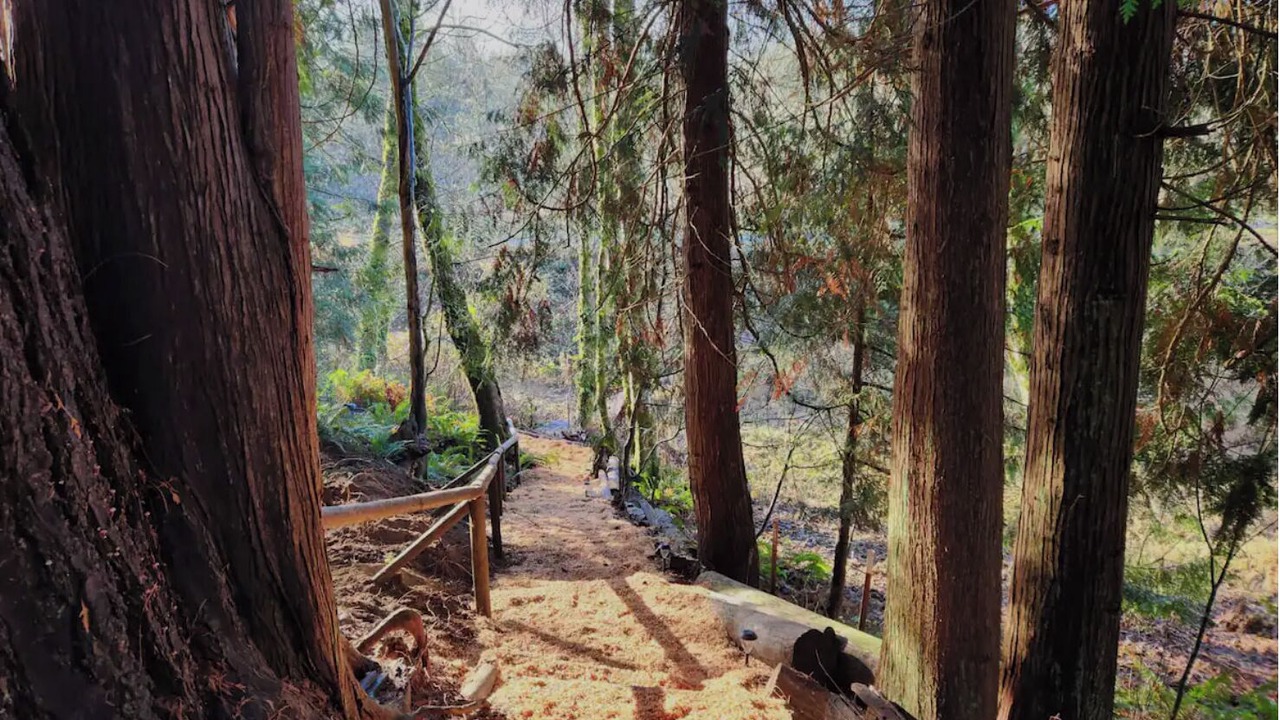 Photo of Others in Arlington