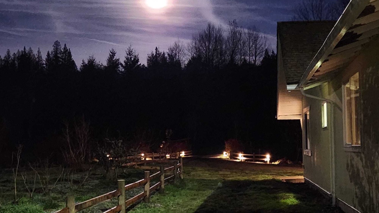 Photo of Others in Arlington