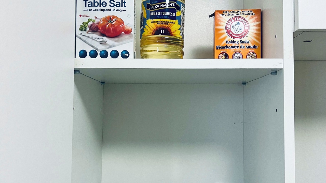 Photo of Others in Lower Sackville