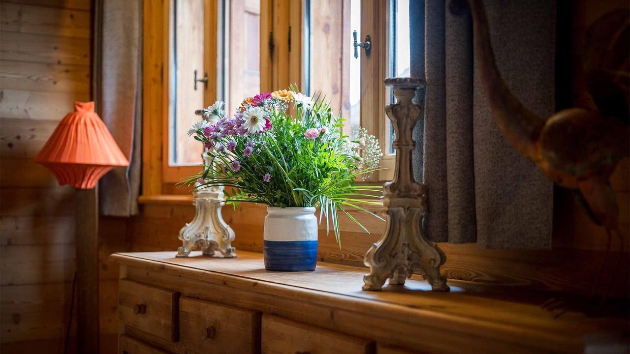 Photo of Others in Cognet